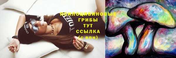 mix Рославль