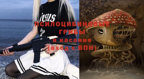 винт Абаза