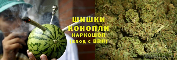 винт Абаза