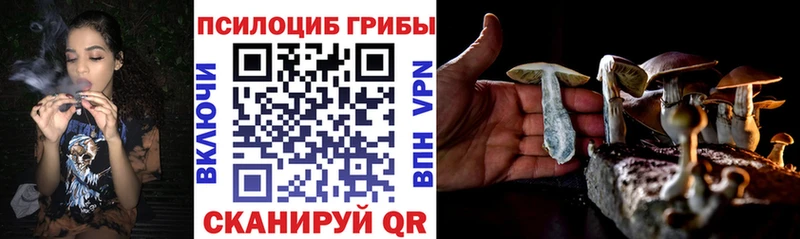 купить наркоту  Нариманов  MEGA   Галлюциногенные грибы GOLDEN TEACHER 